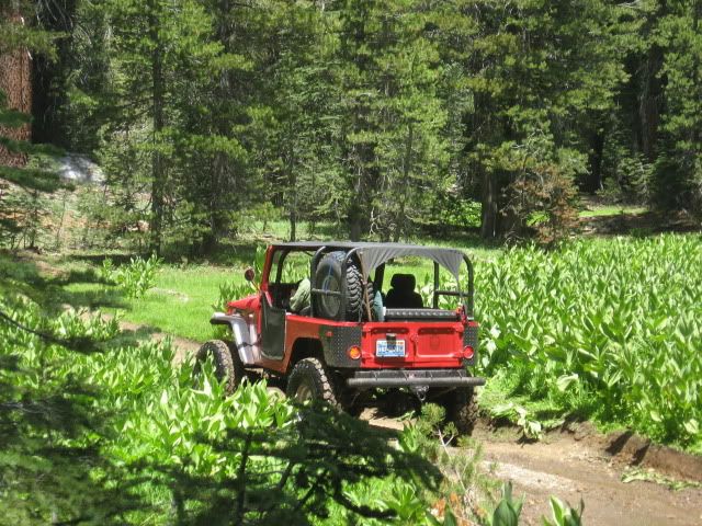 July302011DeerValley011.jpg