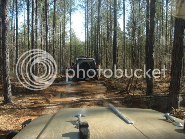 Picture005.jpg