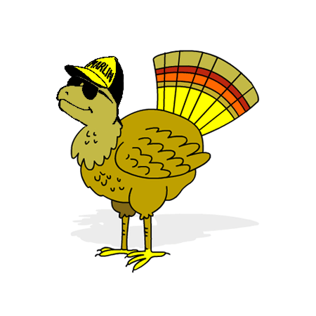 turkle-large.png