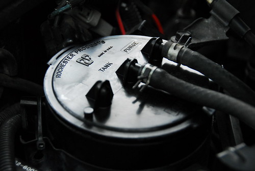 5114871501_e217c4cb41.jpg