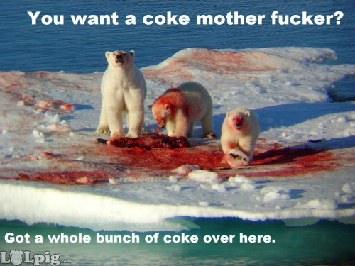 polar-bears-coke.jpg