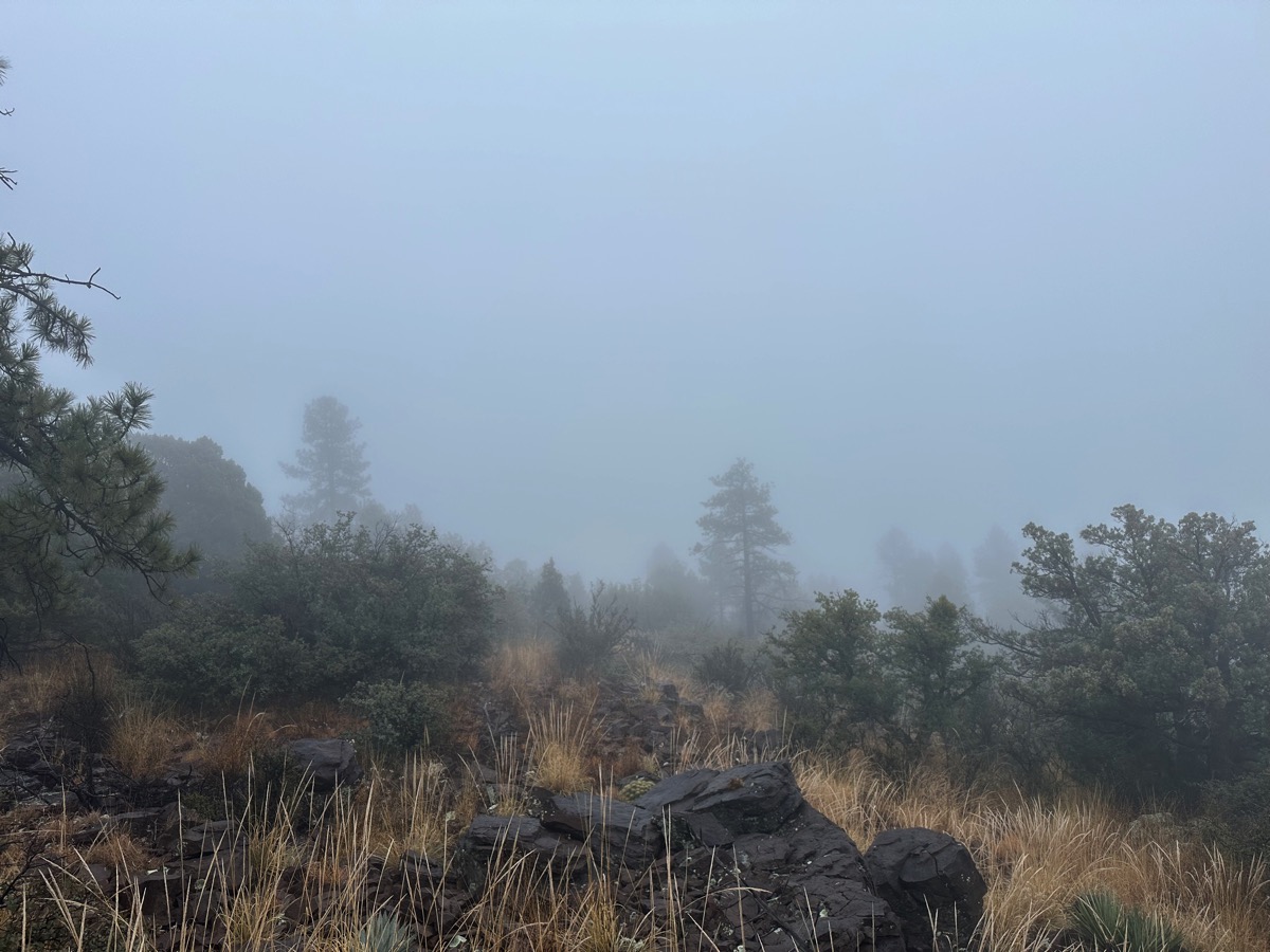 735foggy.jpg