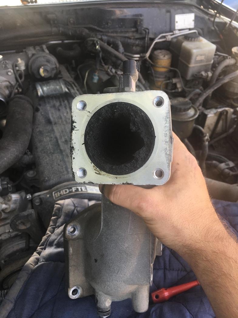 v8gOlHK.jpg
