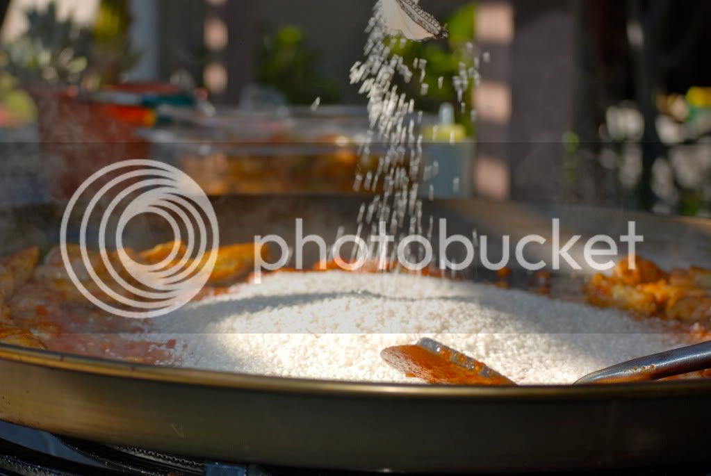DSC_0349.jpg