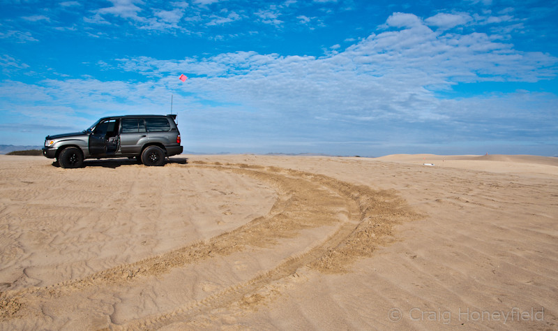 DSC4114-L.jpg