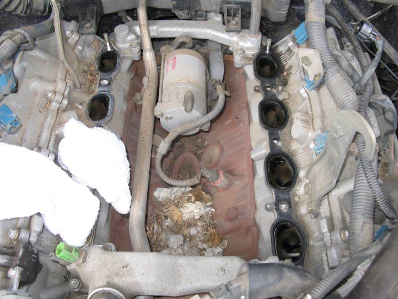 toyota_tundra_arrancador_2_0.jpg