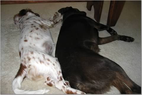 47b5cf24b3127cce95452f7bb04500000016108AbMmLdk0YuV