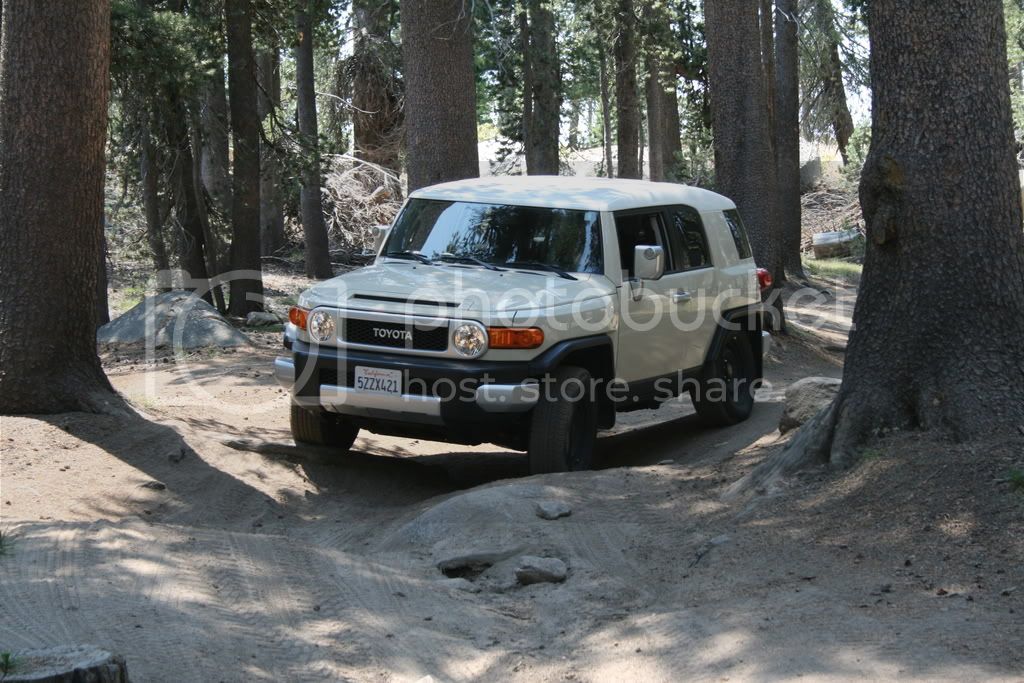 IMG_1595.jpg