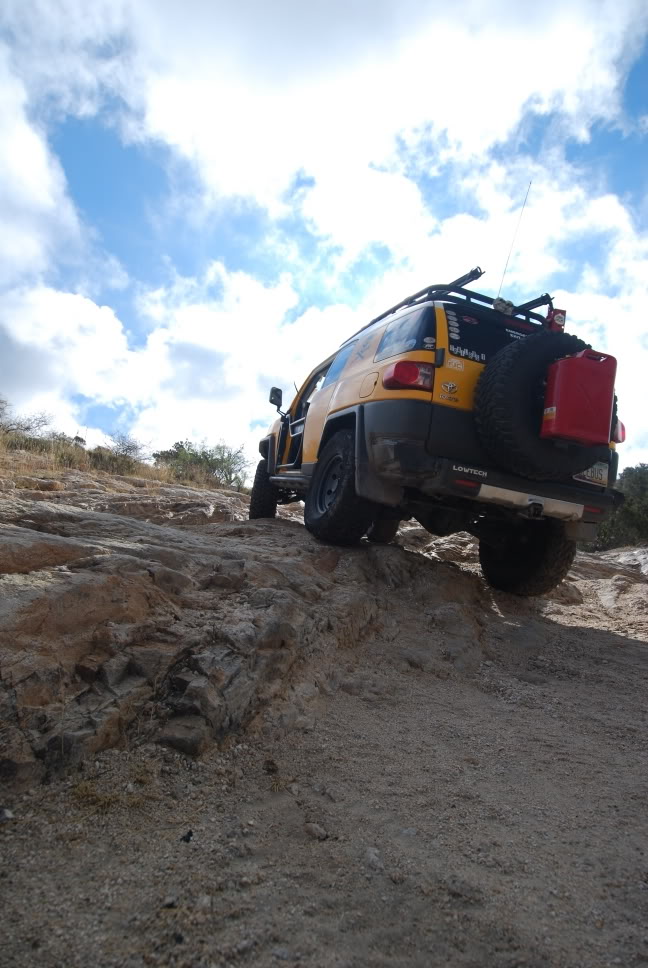 DSC_0768.jpg