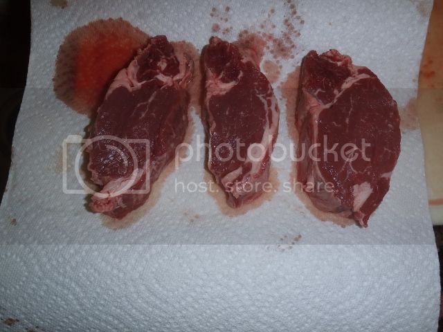 242RPplusmore013640x480_zpsdbf1e501.jpg