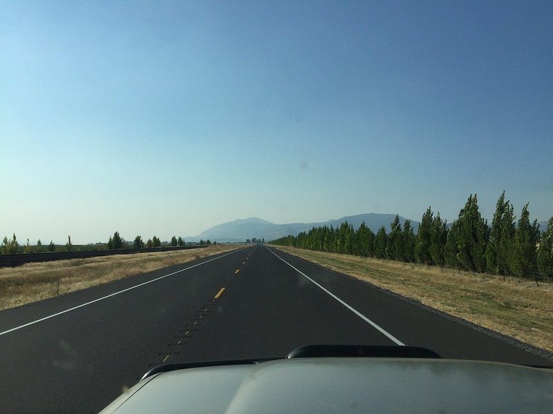 29050108474_16548e340e_c.jpg