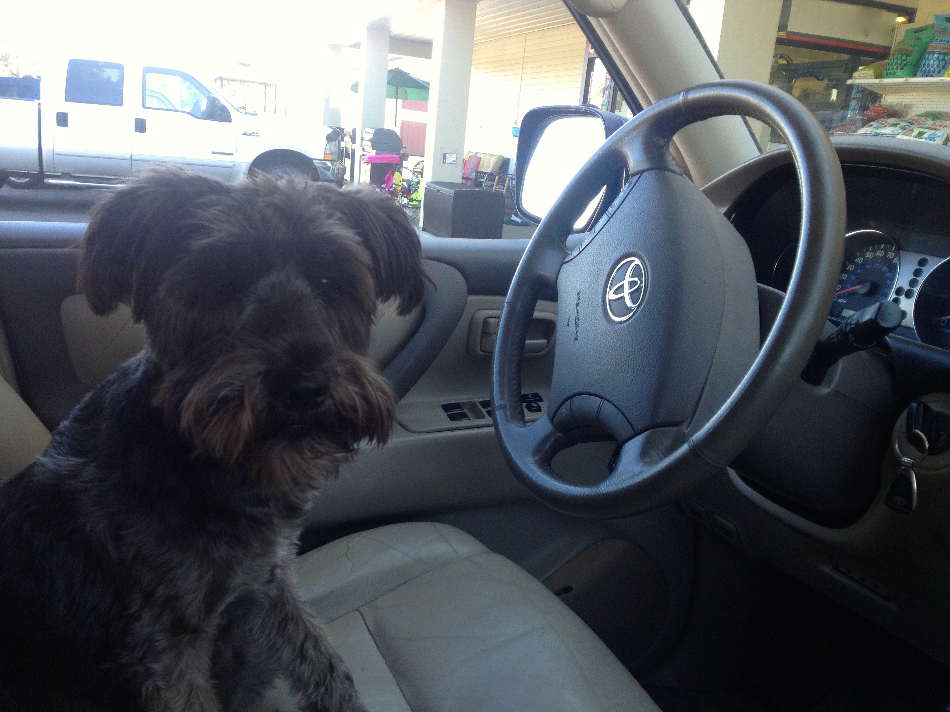 RT13-8_Driver.jpg
