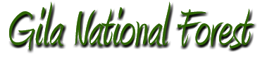 stelprdb5358245.png