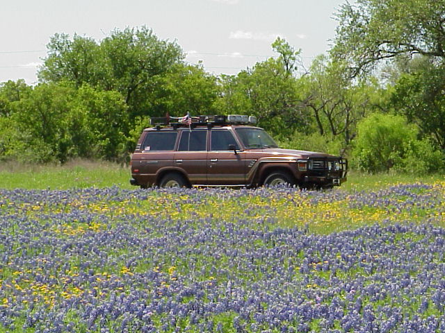 MVC_674F_1.jpg