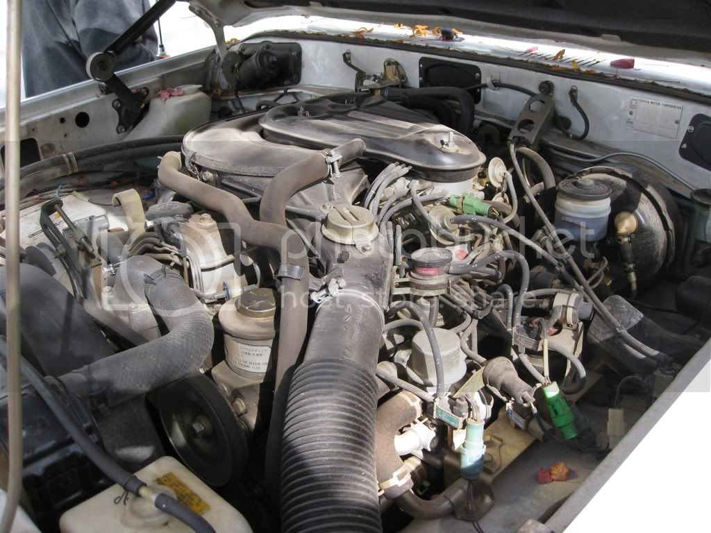 0ccca297.jpg