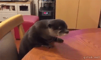 1756291-20150220-3nSBLU.gif