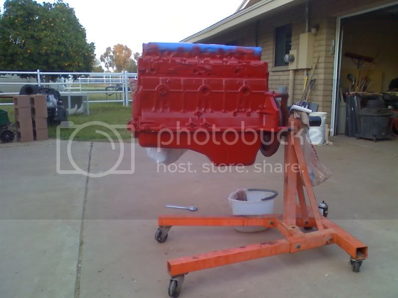 Picture162.jpg