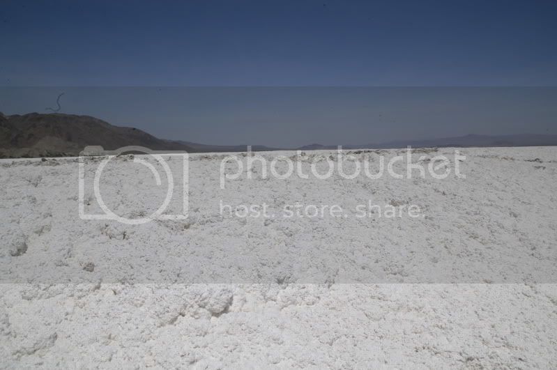 DSC_0461.jpg