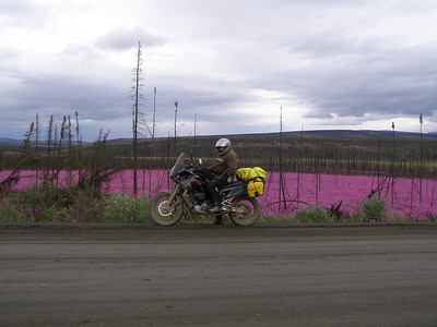 79589637_xSNsK-S.jpg