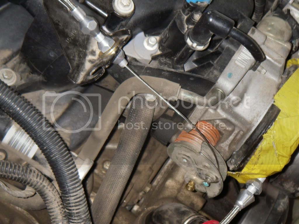 IMGP1459.jpg