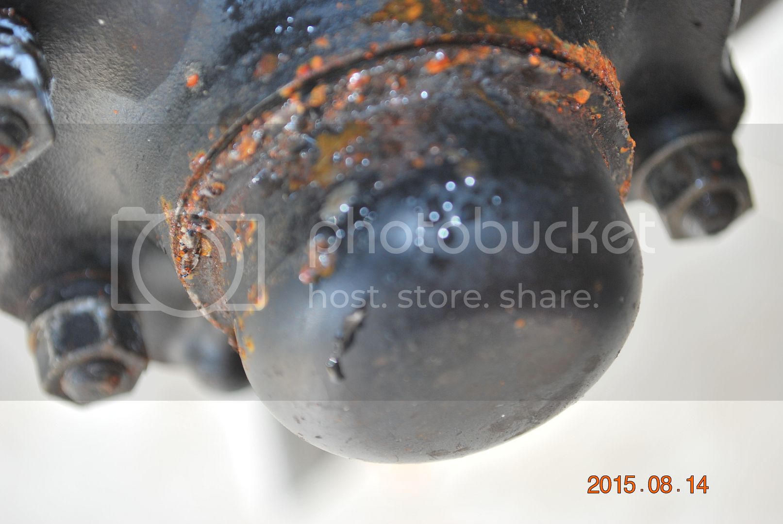 DSC_2489_zpsjldxczcc.jpg