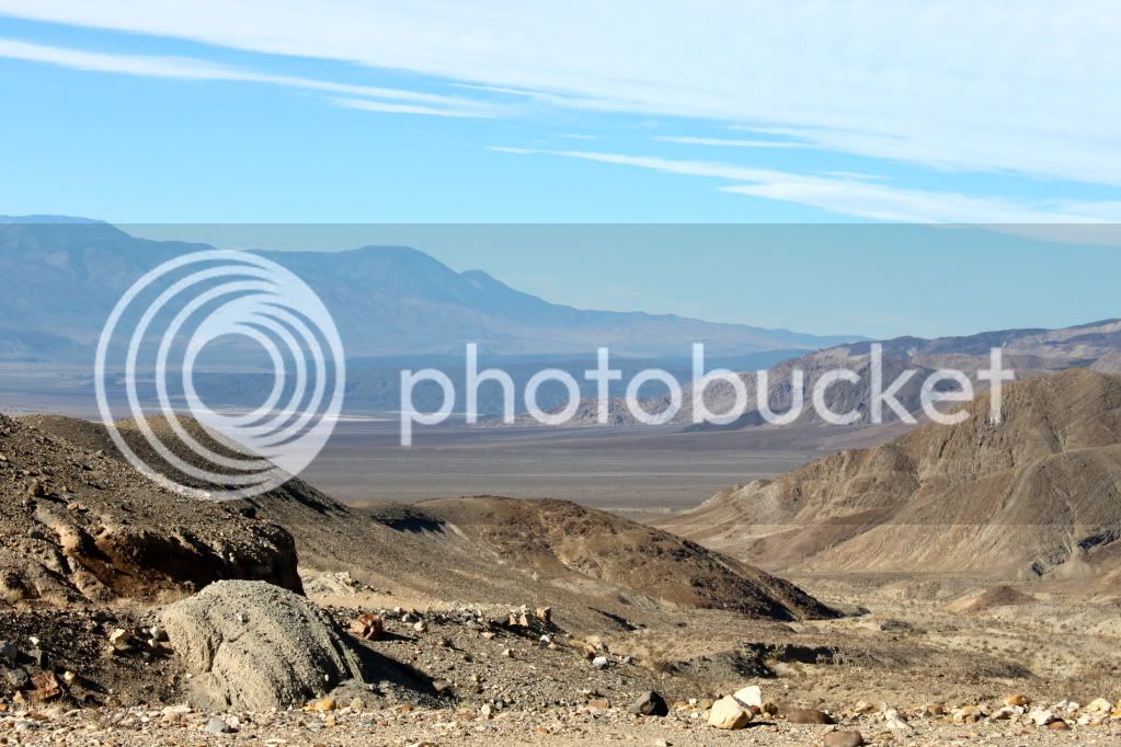 IMG_7499.jpg