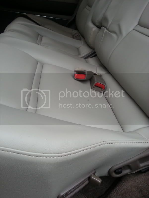 20130914_100535_zps67cce652.jpg