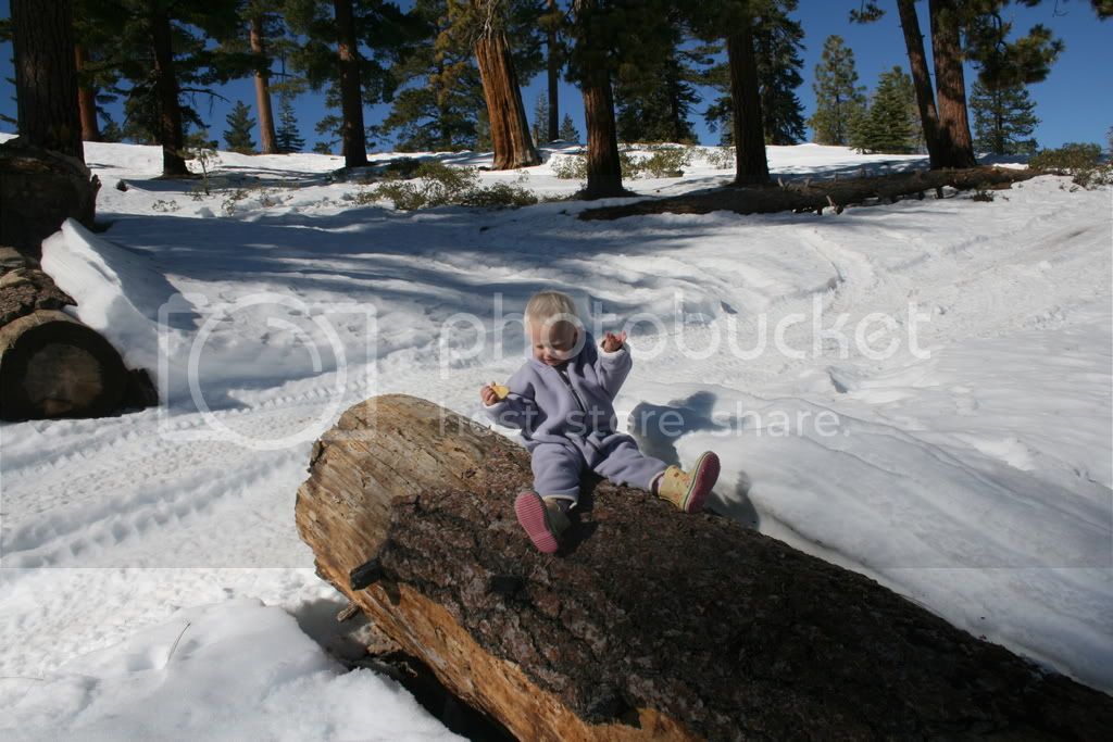 IMG_2521.jpg