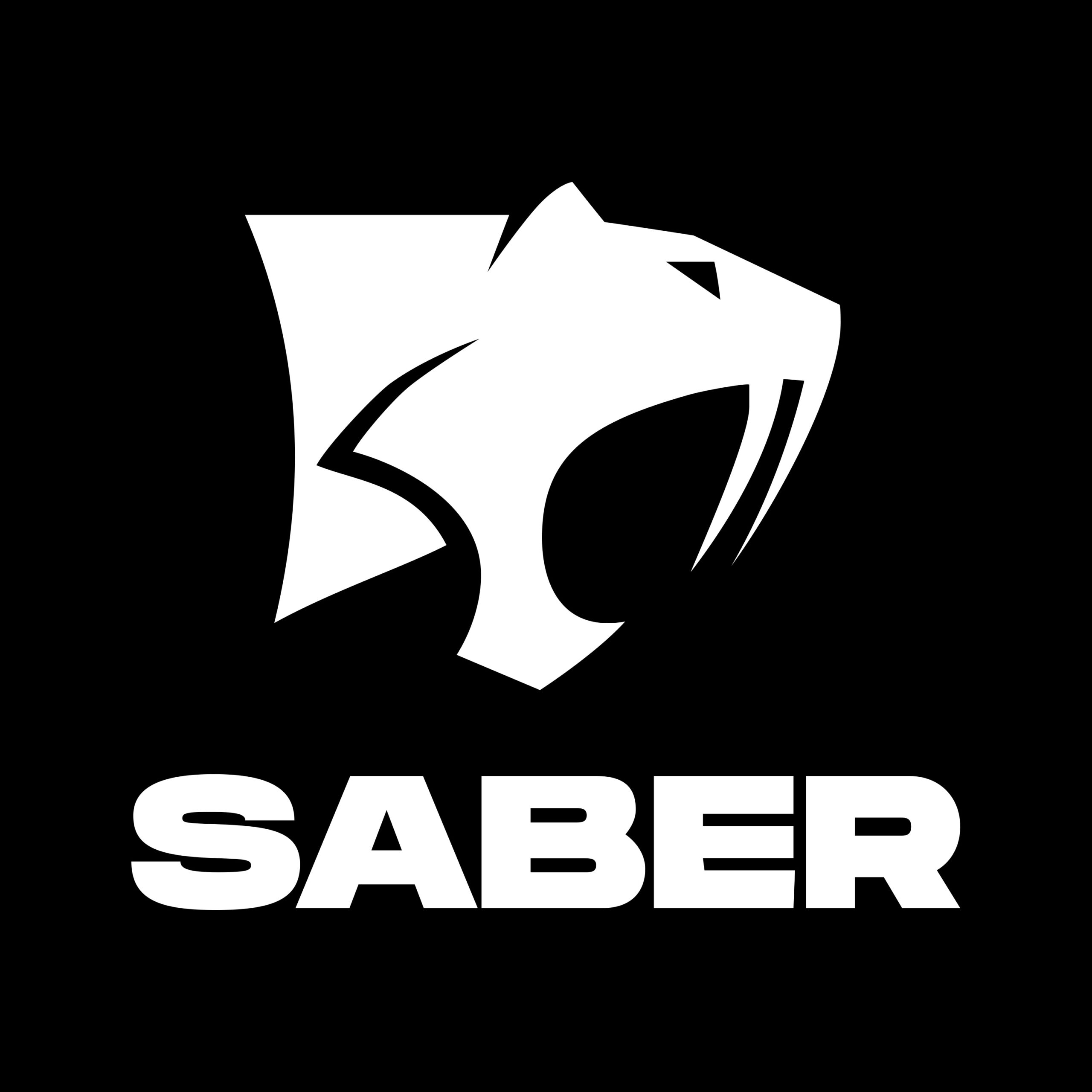 saber3d.com