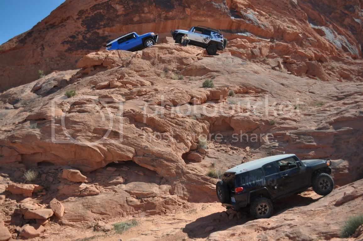 DSC_0801Medium.jpg