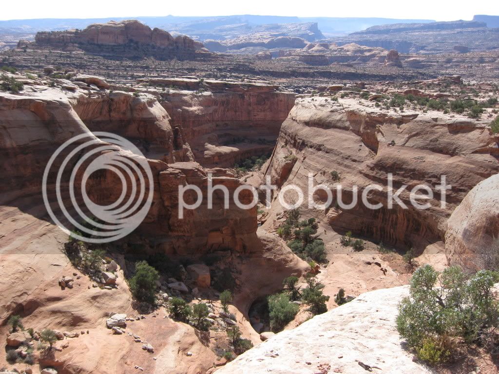 IMG_0547.jpg