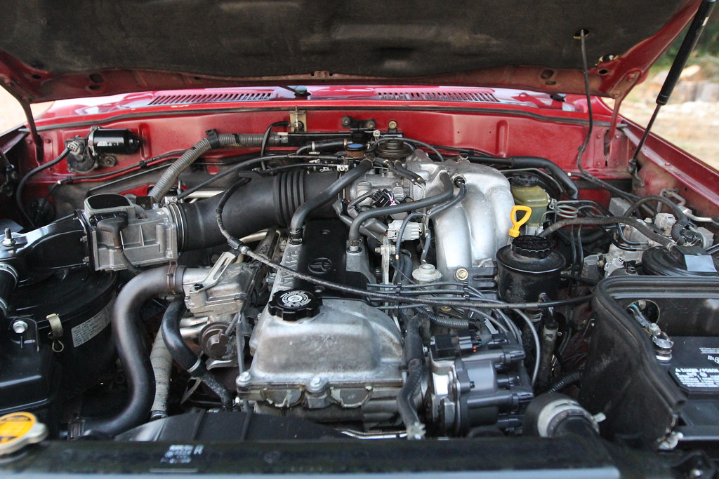 IMG2507-XL.jpg