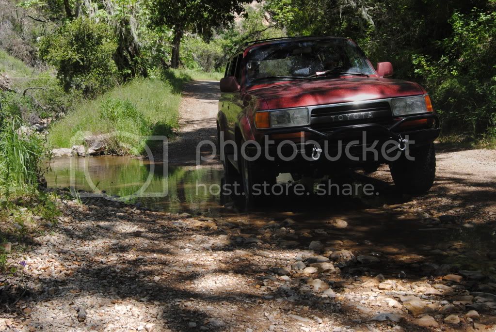 DSC_0092.jpg