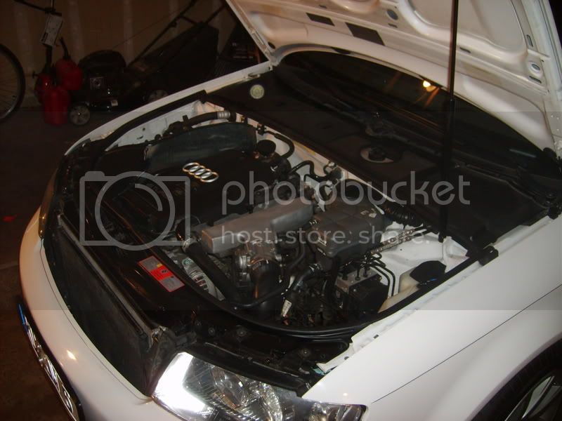 S5001095.jpg