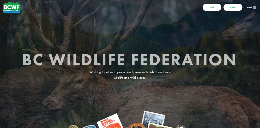 bcwf.bc.ca