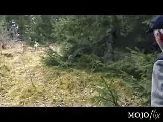 QKaSIPn.gif