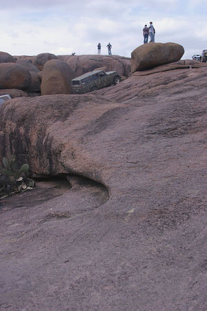 58840325-M.jpg