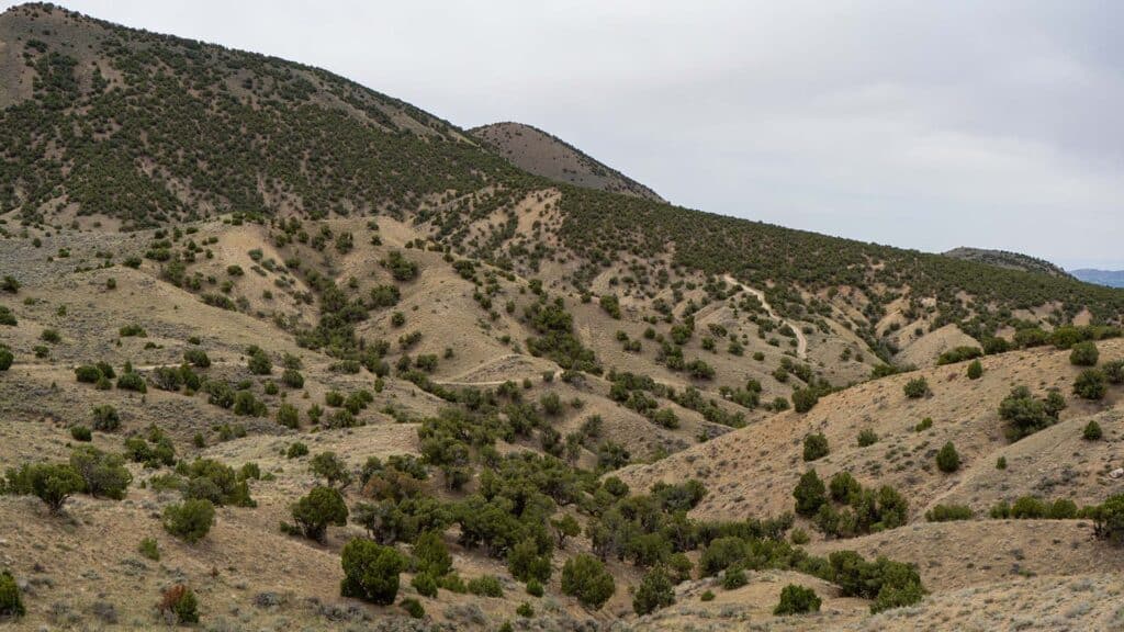 Dinosaur-North-TMP-5-1024x576.jpg