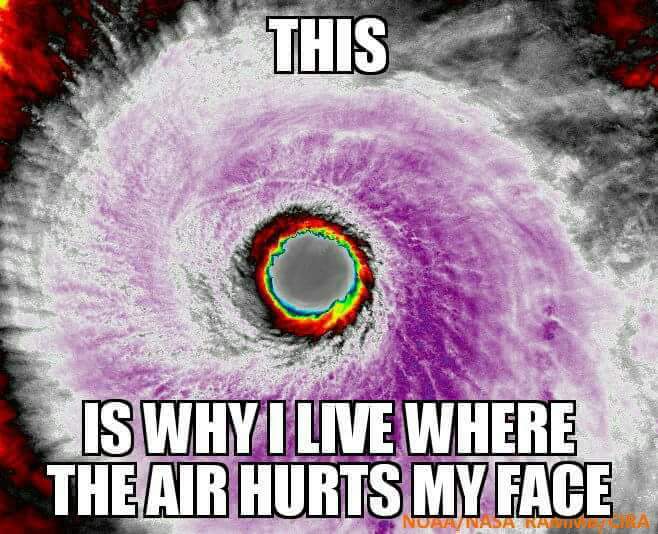53382553573_6869e02379_o.jpg