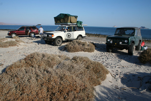 224718487-M.jpg