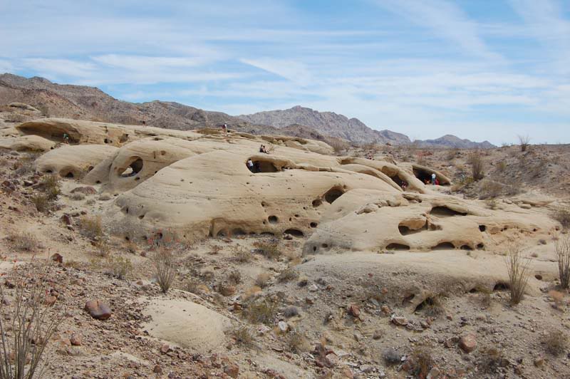 DSC_6092.jpg
