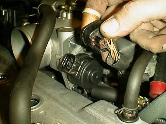 Oring1.jpg