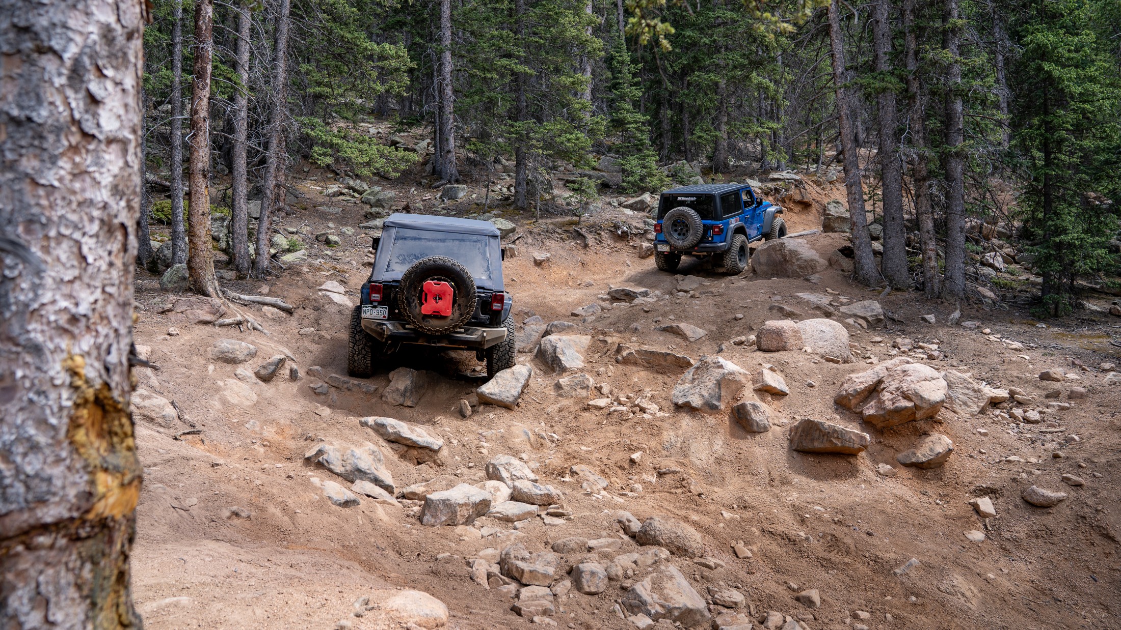 www.trailsoffroad.com