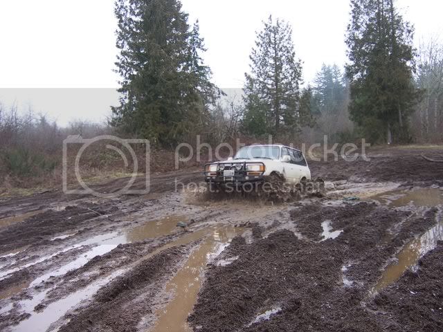 100_1100.jpg