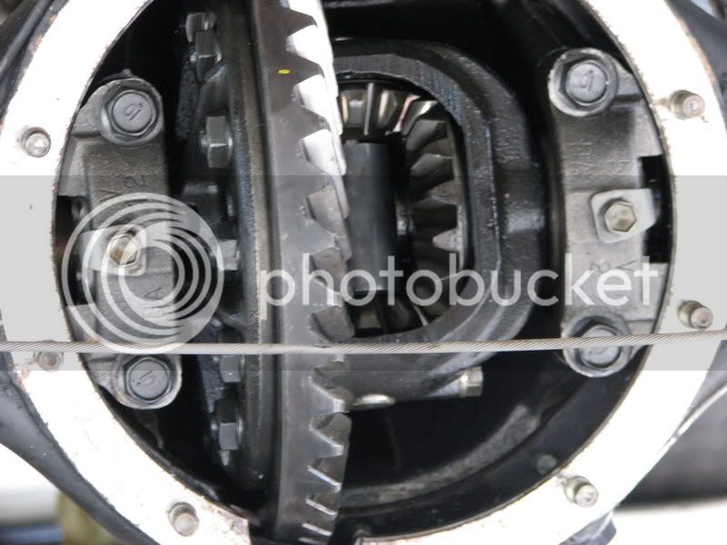 IMG_0614.jpg