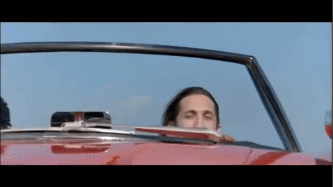 Valet-Joyride-Ferris-Bueller.gif