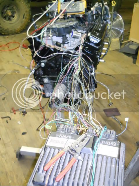 DSCN0172.jpg