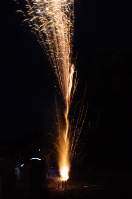 IMG_7312.jpg