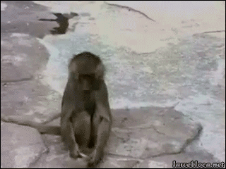 tumblr_n6bg89X9vt1s02vreo1_400.gif