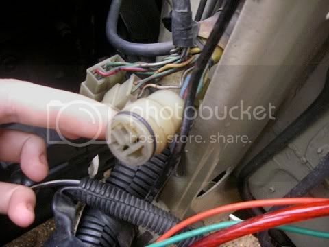 IMGP2835.jpg